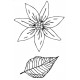 Poinsettia Duo Rubber Stamp Set