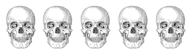 thumbnail image 2 of Skull With Top Hat By Qu3D 3D-Design Art 2 of 12